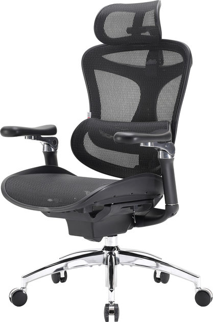 Крісло офісне SIHOO DORO C300 Pro Mesh Black (DORO-C300-PRO-M101) - зображення 6
