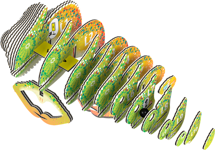 Model 3D do składania Eugy Zoo Kameleon (9421035150743) - obraz 2