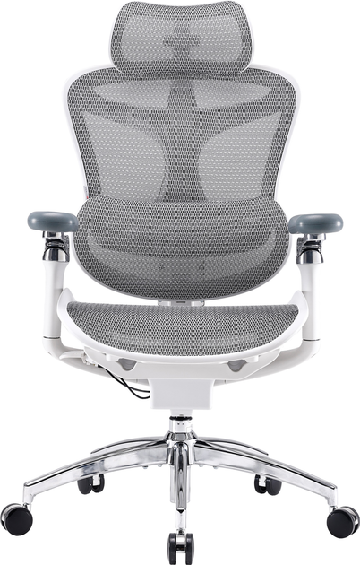Fotel biurowy SIHOO DORO C300 Pro Mesh White (DORO-C300-PRO-M102) - obraz 1