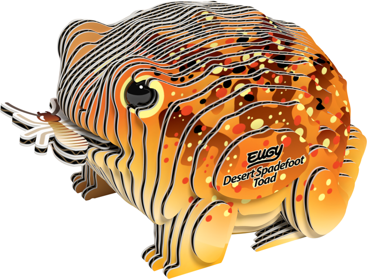 Model 3D do składania Eugy Zoo Żaba pustynna lopatonoga (9421036940381) - obraz 1