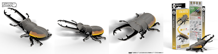 Model 3D do składania Eugy Zoo Żuk jelonek (9421036940350) - obraz 7