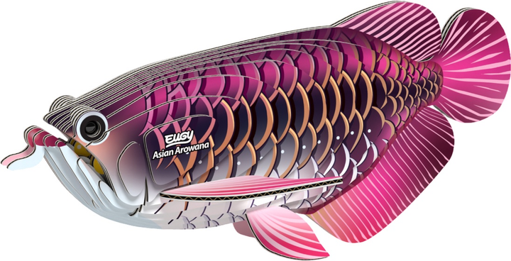 Model 3D do składania Eugy Zoo Azjatycka arowana (9421036940398) - obraz 1