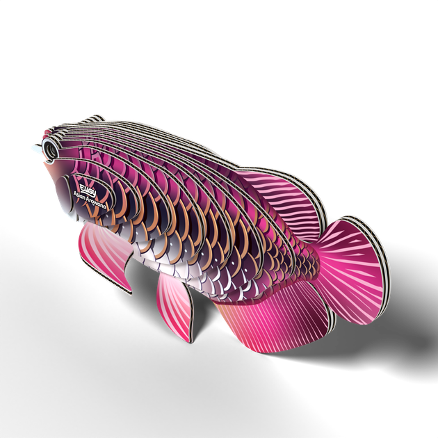 Model 3D do składania Eugy Zoo Azjatycka arowana (9421036940398) - obraz 4