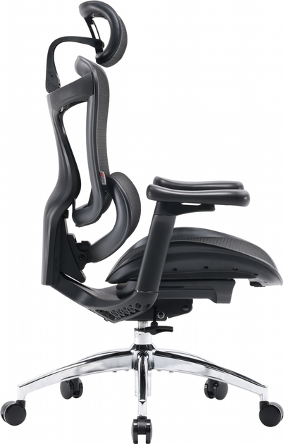 Крісло офісне SIHOO DORO C300L Mesh Black (DORO-C300L-A3-101) - зображення 3
