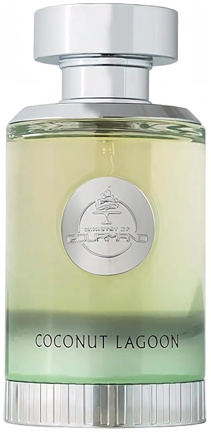 Woda perfumowana unisex Paris Corner Ministry of Gourmand Coconut Lagoon 100 ml (6295321475628) - obraz 1