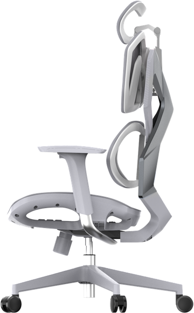 Вульваның жақыннан түсірілуі