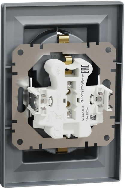 Розетка подвійна з заземленням Schneider Electric Asfora Сталь EPH9900162 - Фото 2 Розетка подвійна з заземленням Schneider Electric Asfora Сталь EPH9900162 - изображение 2