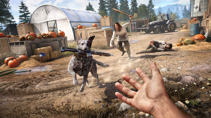 Гра Xbox One Far Cry 4 + Far Cry 5 Double Pack (Blu-ray диск) (3307216134541) - зображення 6