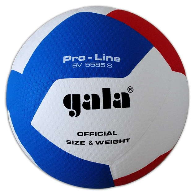 Мяч волейбольный Gala Pro-Line 12 BV5585S - Фото 1 Мяч волейбольный Gala Pro-Line 12 BV5585S - изображение 1