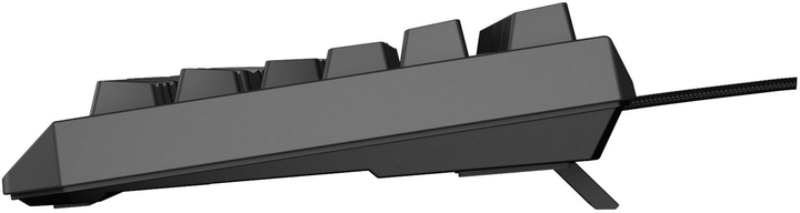 Klawiatura przewodowa Genesis Thor 230 TKL RGB Outemu Brown USB Black (NKG-2079) - obraz 9
