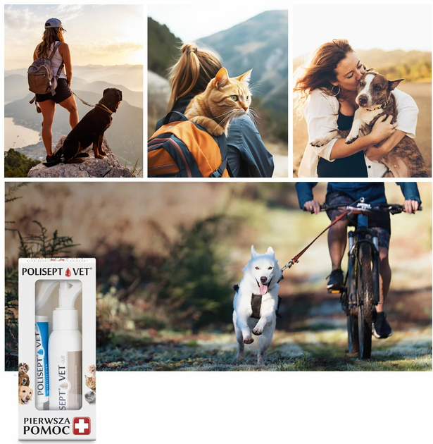 Аптечка першої допомоги JM Sante Pharma POLISEPT VET FIRST AID для собак і котів (5902596718602) - зображення 3