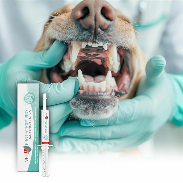 Preparat do jamy ustnej JM Sante Pharma VET PROTECTOR PRO MUKO dla psów i kotów 15 ml (5902596718275) - obraz 3