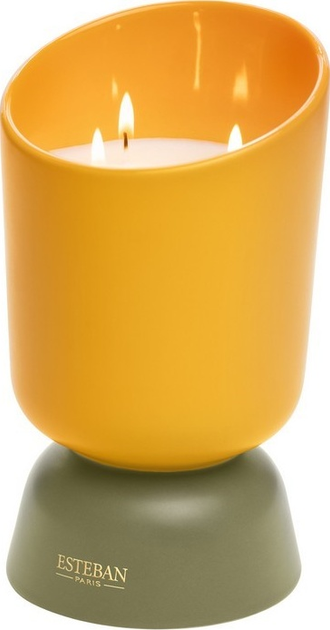 Свічка Esteban Iconic Color Neroli 700 г (3660963107504) - зображення 1