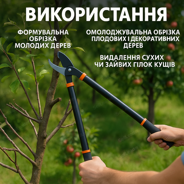 Сучкорез двуручный с обводными лезвиями для деревьев сухих веток ножницы до 40 мм антискользящие ручки 74 см - Фото 4 Сучкорез двуручный с обводными лезвиями для деревьев сухих веток ножницы до 40 мм антискользящие ручки 74 см - изображение 4