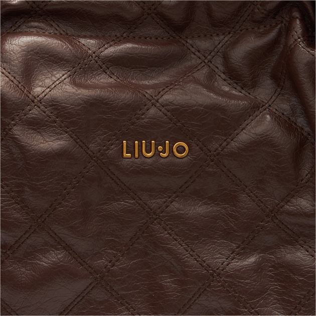 Сумка хобо жіноча зі штучної шкіри велика Liu Jo AA5062E0914 00533 Коричнева (800070348811) - зображення 3