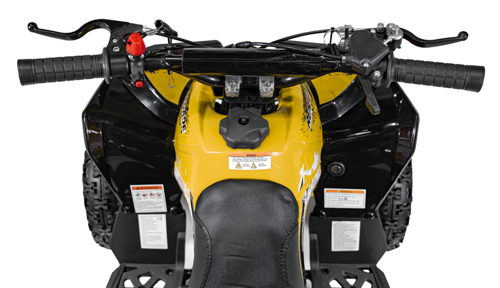 Квадроцикл бензиновий RENEGADE HIPERFECT 49CC Жовтий (5903864941555) - зображення 16