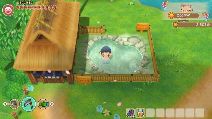 Гра Nintendo Switch Story of Seasons: Friends Of Mineral Town (Картридж) (5060540770554) - зображення 2
