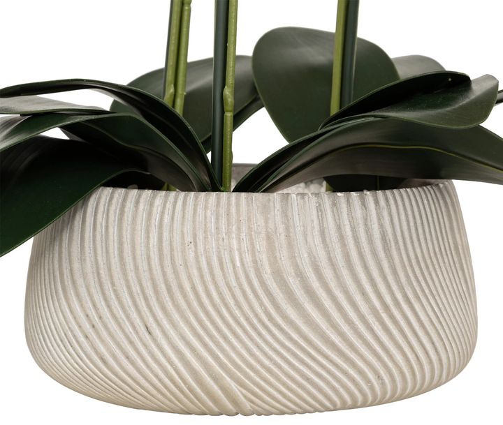 Sztuczny storczyk Atmosphera w doniczce 65 cm (3560233541260) - obraz 3