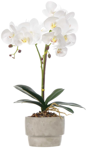 Sztuczny storczyk Ibergarden w doniczce z cementu 49 cm (8430852596239) - obraz 1
