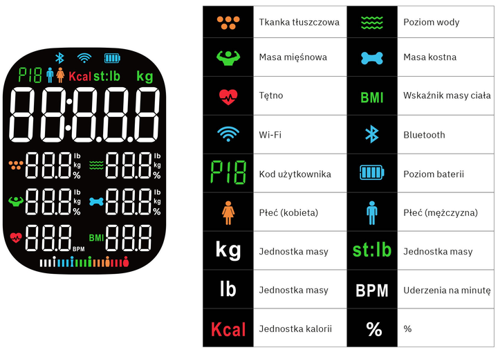 Waga podłogowa Webber Livia IF1320B (05IF1320C) - obraz 5