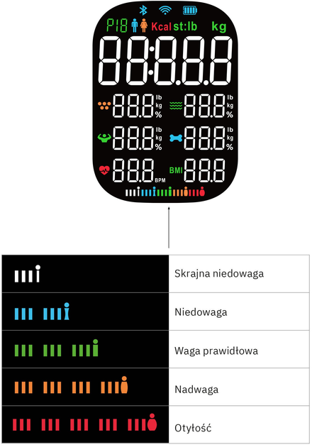 Waga podłogowa Webber Livia IF1320B (05IF1320C) - obraz 6