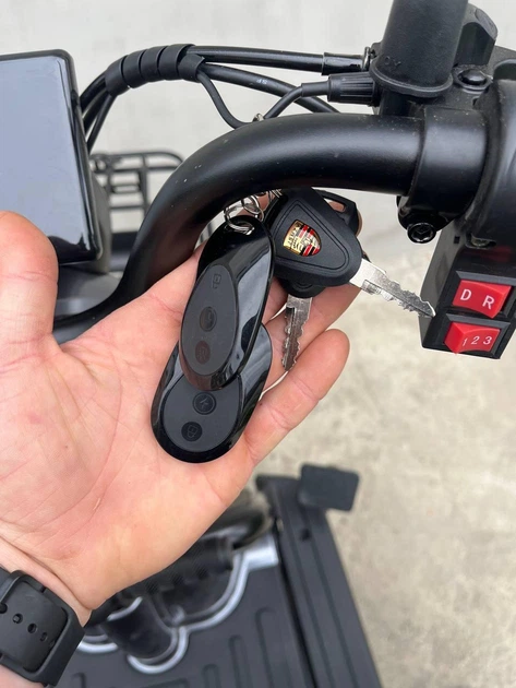 ROZETKA | Електроскутер триколісний EVOBIKE Luna TRIO 60V 23Ah