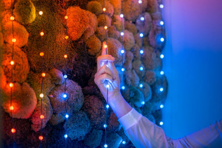Світлодіодна Smart LED гірлянда Twinkly Candies Pearl RGB 200 IP20 12 м USB-C кабель Зелений (TWKP200RGB-G) - зображення 12
