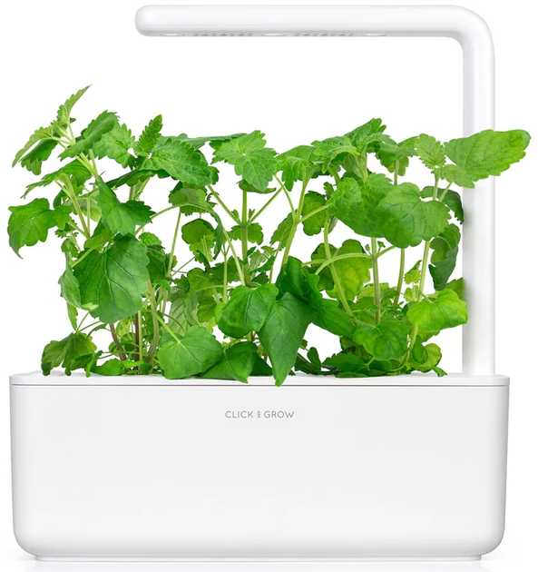 Змінний картридж Click&Grow Котяча м'ята 3 капсули (4742793007465-7465) - зображення 4
