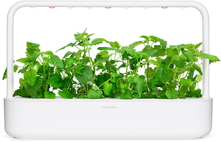 Змінний картридж Click&Grow Котяча м'ята 3 капсули (4742793007465-7465) - зображення 5