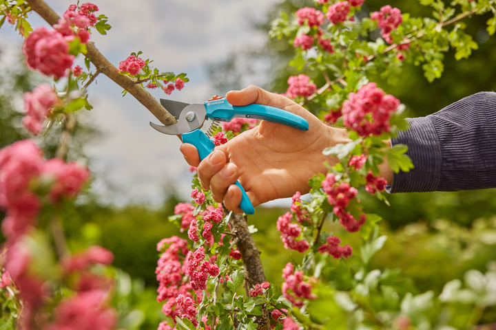 Секатор Gardena EasyCut 20 мм (12230-20.000.00) - зображення 11