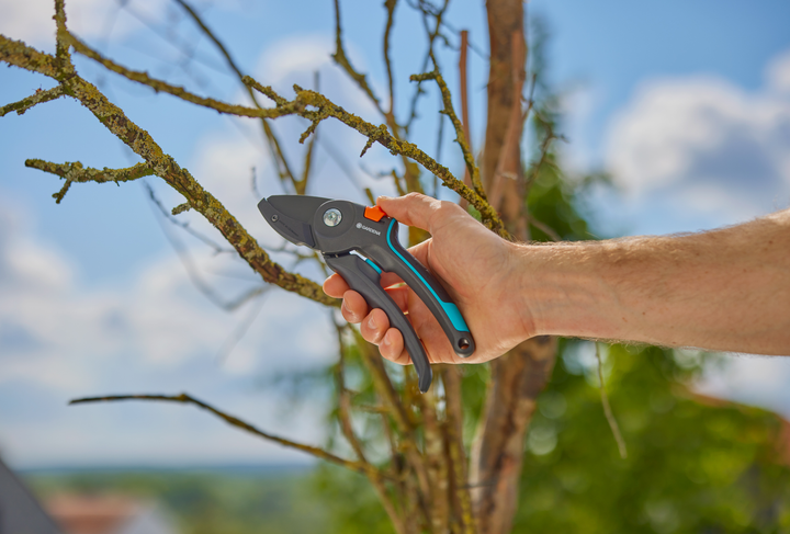 Секатор Gardena PremiumCut Pro Dry Wood з ковадлом 24 мм (аналог 08903-20.000.00) (12250-20.000.00) - зображення 10