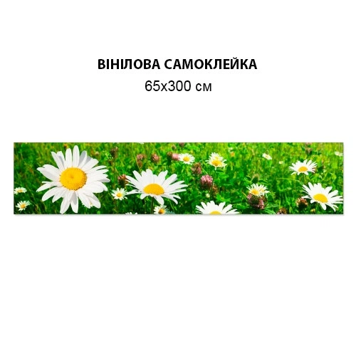 Наклейка на кухонный фартук 65 х 300 см, фотопечать с защитной ламинацией Ромашка (БП-s_fl11399-4)(БП-15-s_fl11399) - изображение 4