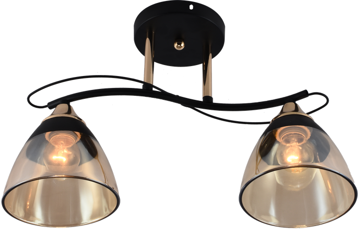 Декоративная люстра INTEREES IS XA1248B/2 Gold Black на 2 плафона - Фото 1 Декоративная люстра INTEREES IS XA1248B/2 Gold Black на 2 плафона - изображение 1