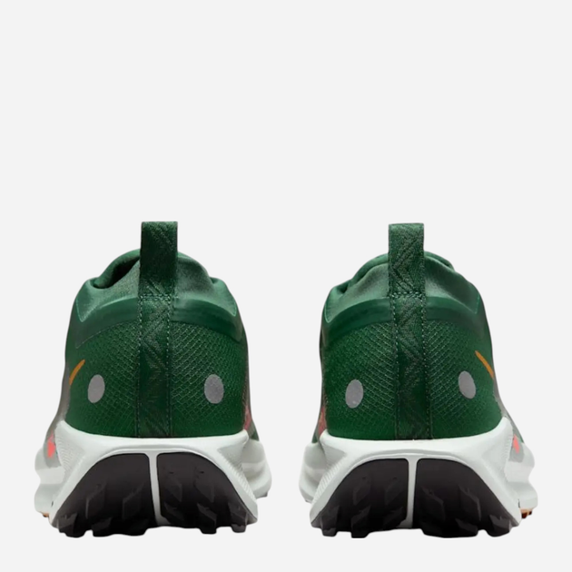 Чоловічі кросівки для бігу Nike Pegasus Trail 5 Gtx FQ0908-301 42.5 (9US) 27 см Зелені (198481635733) - зображення 4