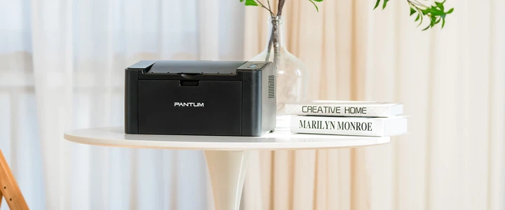 Принтер моно A4 Pantum P2500NW 22ppm Ethernet WiFi (00117553) - Фото 4 Принтер моно A4 Pantum P2500NW 22ppm Ethernet WiFi (00117553) - изображение 4