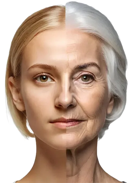 Набір дієтичних добавок EONLIFE Ліпосомальний вітамін С 1000 mg 60 капсул 3 шт. (5907317002312/3) - зображення 4