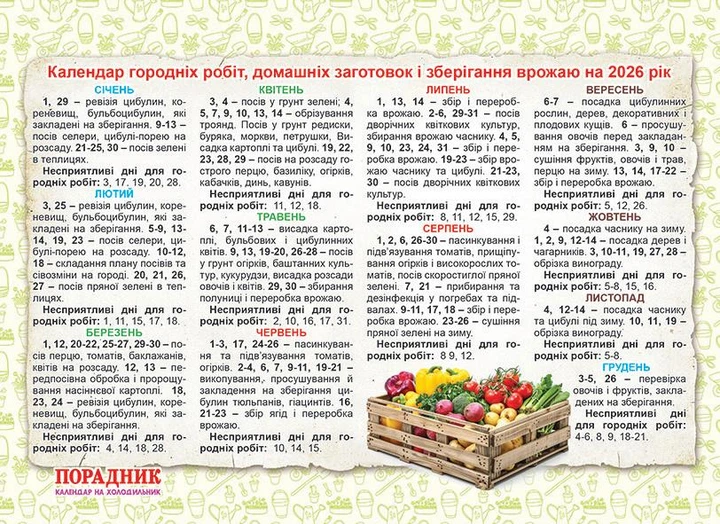 Календар на холодильник. Порадник. Щомісячник на магніті 2026 - Фото 4 Календар на холодильник. Порадник. Щомісячник на магніті 2026 - зображення 4