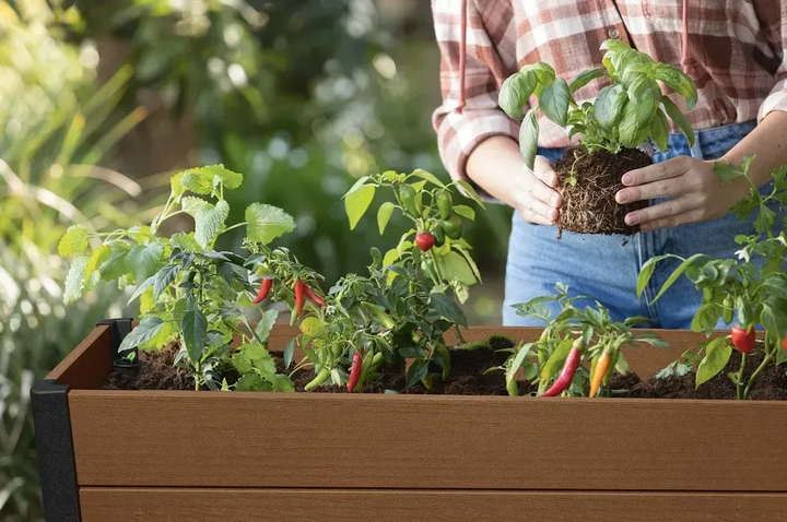 Горщик для квітів пластиковий Keter Darwin elevated Garden Bed Pro 255161 коричневий - изображение 5