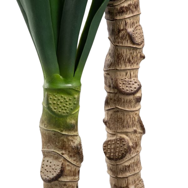 Штучна рослина Homla Tropical Zone юка 110 cм (5906496740619) - зображення 4