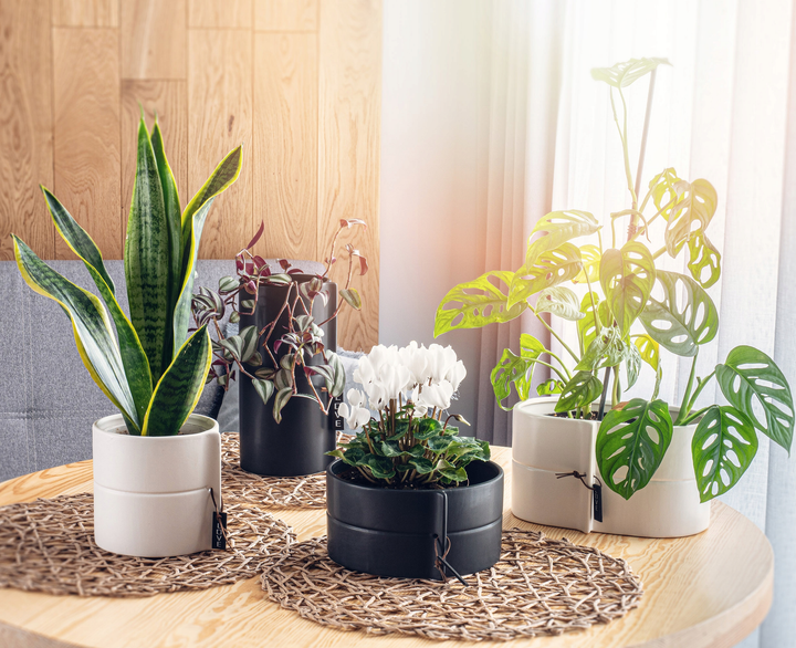 Osłonka ceramiczna na doniczkę Kadax Biała 13 cm (5903699419885) - obraz 8
