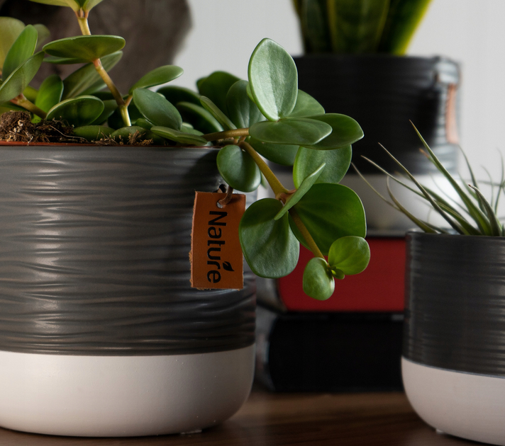 Osłonka ceramiczna na doniczkę Kadax Pokka szaro-biała 12 cm (5903699478226) - obraz 7