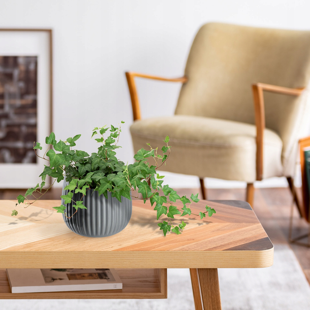 Osłonka ceramiczna na doniczkę Kadax Vario Szara 14 cm (5903699478202) - obraz 7