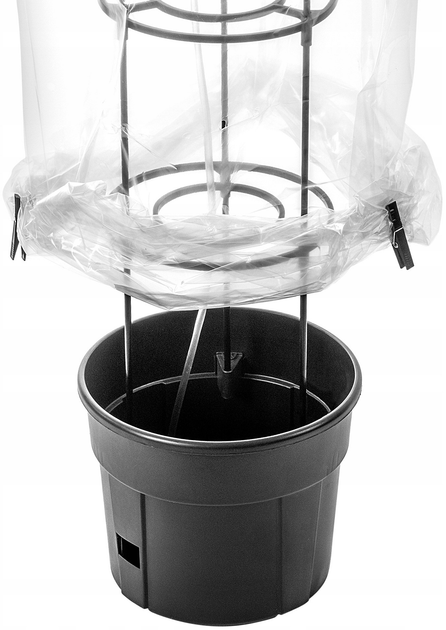 Zestaw do uprawy pomidorów Kadax Doniczka 12 l + Parasol ochronny (5903699475362) - obraz 6