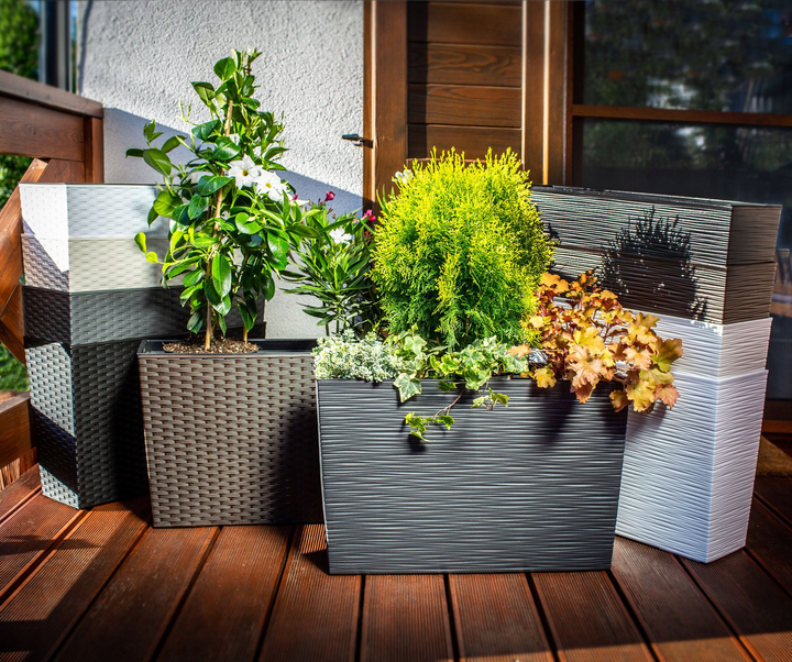 Doniczka ogrodowa z wkładem Kadax Rattan Biała 19x56 cm (5903699428771) - obraz 6