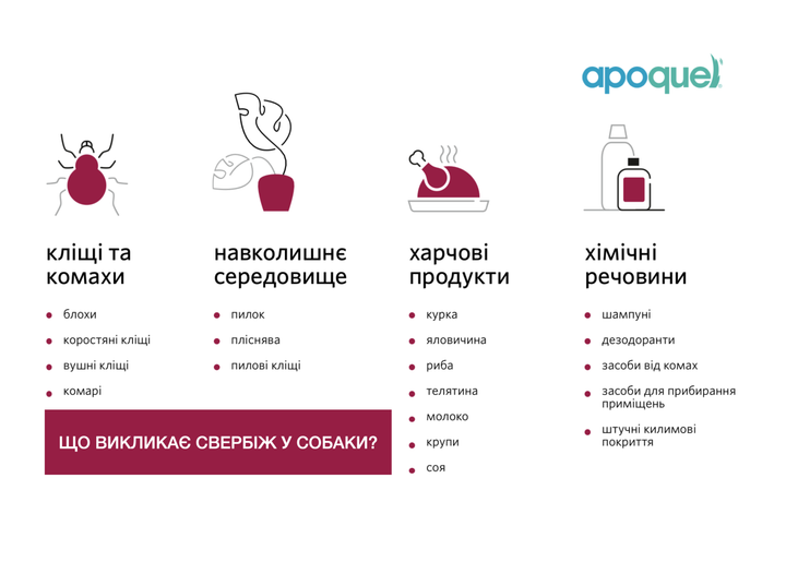 Ветеринарные препараты Zoetis Apoquel – таблетки при дерматите для собак, 5.4 мг 100 табл (10024435) - Фото 4 Ветеринарные препараты Zoetis Apoquel – таблетки при дерматите для собак, 5.4 мг 100 табл (10024435) - изображение 4