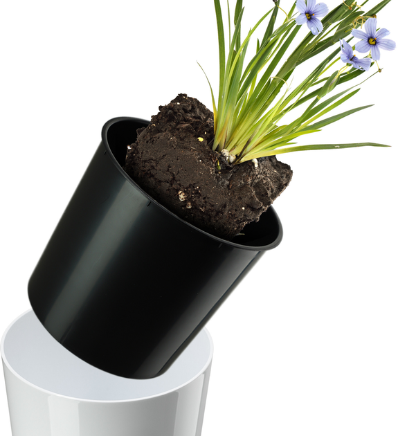 Doniczka z wkładem Kadax Biała 47 cm (5903699495308) - obraz 5