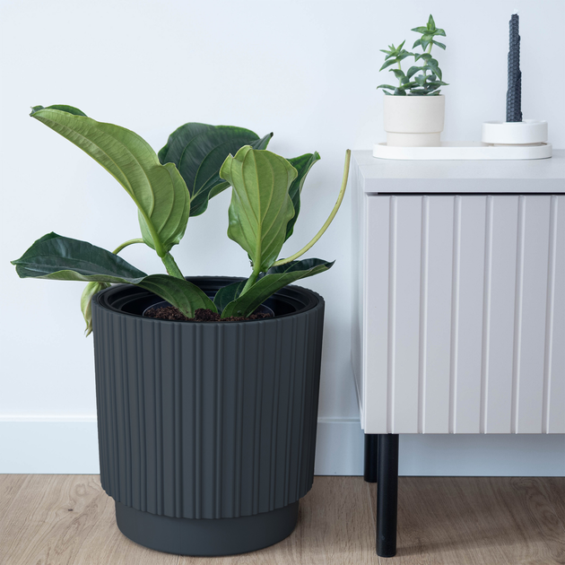 Doniczka z wkładem Kadax Antracyt 30 cm (5903699497388) - obraz 9