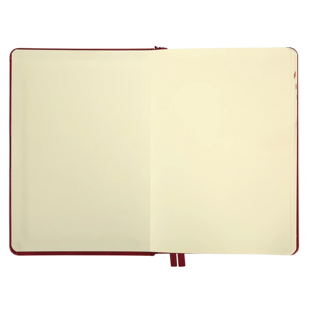 Дневник-деловая записная книжка А5 Leo Planner датированный 2026 "Persona", твердая, бордовая, 368 страниц (252663) - изображение 3