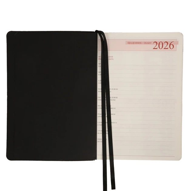 Дневник-деловая записная книжка А5 Leo Planner датированный 2026 "Enigma", мягкая, черная, 368 страниц (252700) - изображение 4