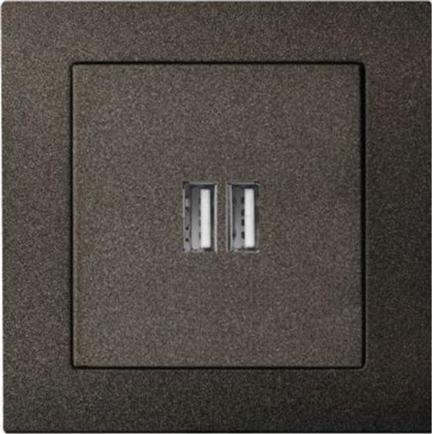 Розетка Liregus USB Charger Black (IUK-2-01_E/J) - зображення 1